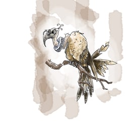 Geier/Vulture