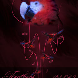 Plakat A4