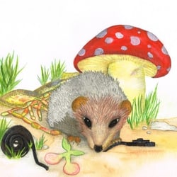 Der Igel