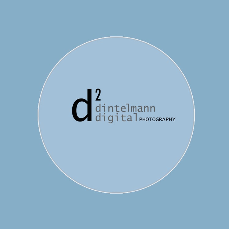 Stefan Dintelmann