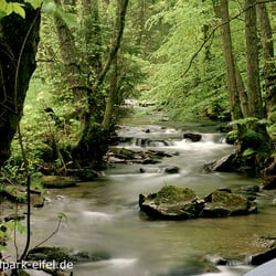 Nationalpark Eifel