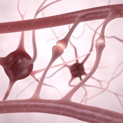 Nervenzellen, Synapsen und Neuronen – 3D Illustration