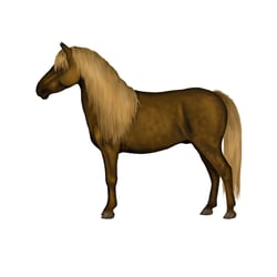 Fallabella