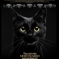 dogtooth5