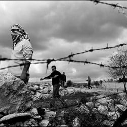 Bilin, 2008