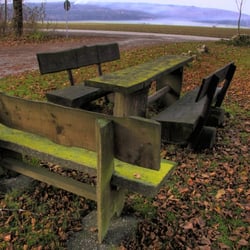 Herbstliches Farbenspiel