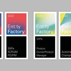 Entity Factory – Zertifikate