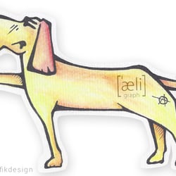 Hund