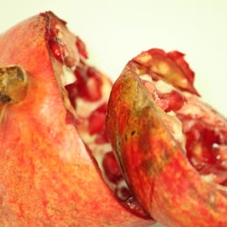 Granatapfel November 2012