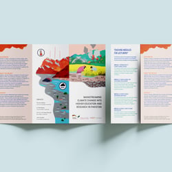 Flyer | Illustration und Gestaltung