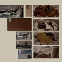 AVANA09: communication materials