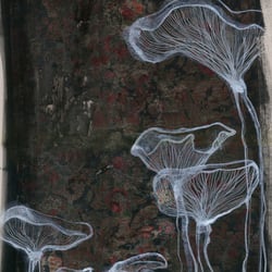 pilz