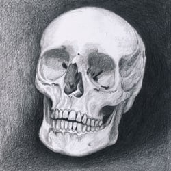 Totenkopf Skizze Bleistift auf Tonpapier
