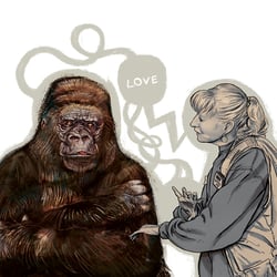 Gorilla (Sachbuch)