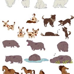 Animals