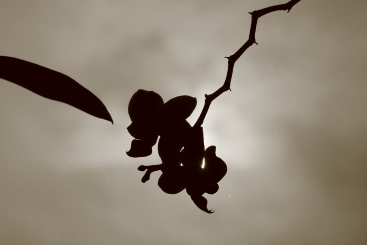 Licht und Schatten by Dina.T 2013