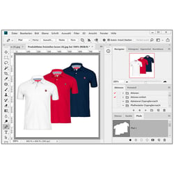 ClippingService24, Bildmontagen