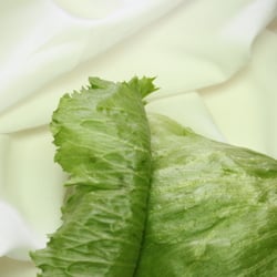 Eisbergsalat Nov. 2012