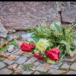 Bouquet of flowers fallen over by the wind next to the entrance door of the synagogue.