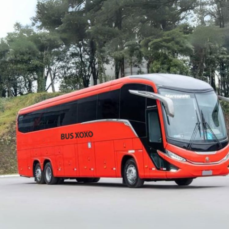 Busxoxo Busxoxo