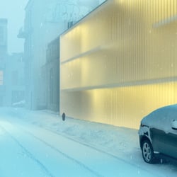 Winterscene freie Arbeit mit Babak Zarsazegar