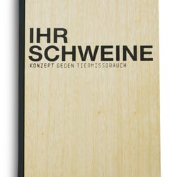 Dokumentation der Diplomarbeit in Buchform