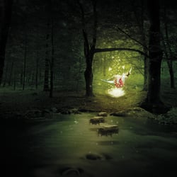 forest o logo