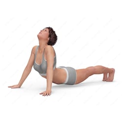 Positionen beim Stretching für Studien und Veröffentlichungen zum Thema Dehnen