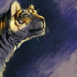 Tiger Portrait