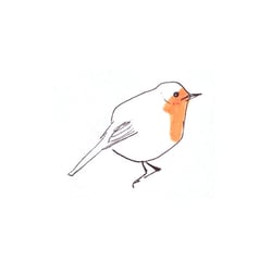 Rotkehlchen
