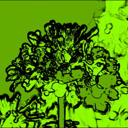 Green Flower