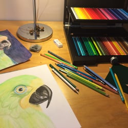 Polychromos