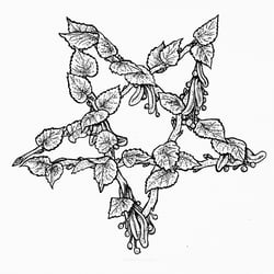 Linden Pentagram