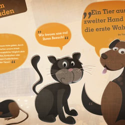 Illustrationen für das Tierheim Wiesbaden