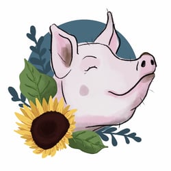 Schwein