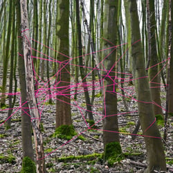 Checkpoint J – Joint (Collective Intelligence, Cooperation … / Kollektive Intelligenz, Kooperation …)