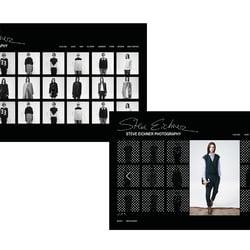 steve eichner – webdesign