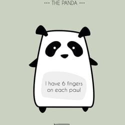 Panda Fun Fact – Illustrator