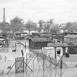 Hochwasser Gustavsburg
