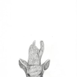 Hirsch