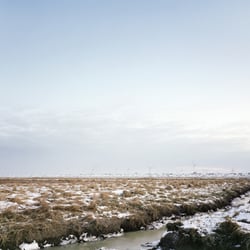 „Friedrichskoog“