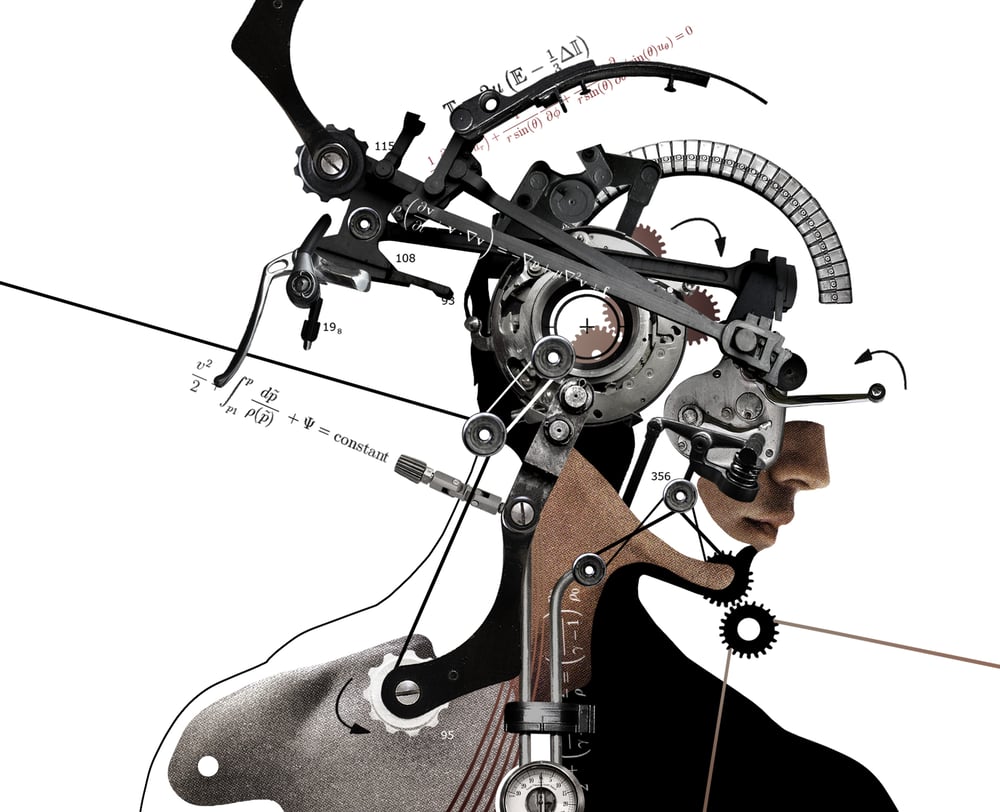 HUMAN PHYSICS / HEAD