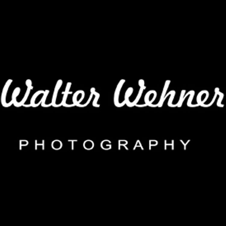 Walter Wehner