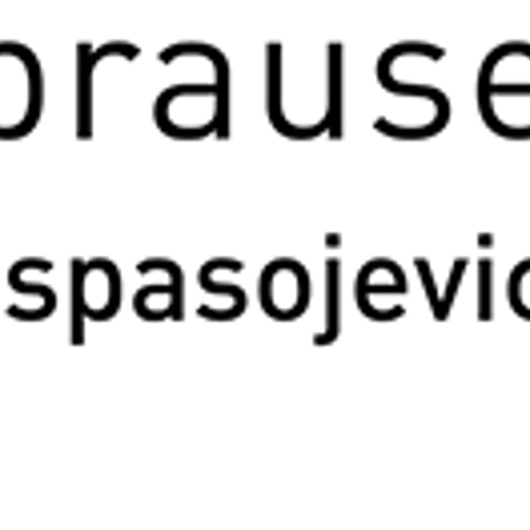 Danijel Spasojevic
