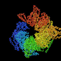 Hsp104 aus Hefe, eine spiralförmig gebaute Proteindesaggregase