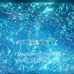 Motiondesign für Saskia mit Koschmiederfilm