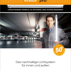 schwalbenfisch e-ressource-3