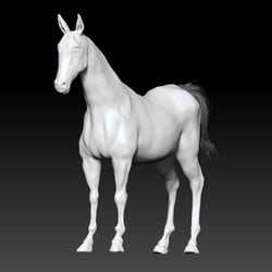 Horse, Digital Sculpting Sketch