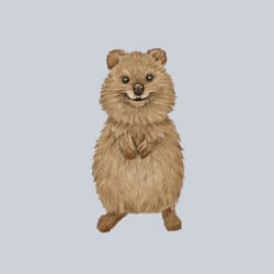 Quokka- the happiest animal in the world