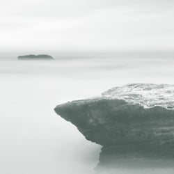 RESILIENCE / Corporate Design